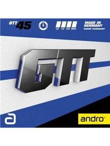 OTHER(�\�m�^)GTT45