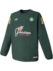 FINTA(tB^)GDZ vI[o[sXegbv(PULLOVER PISTE TOP)