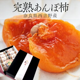 【化粧箱入り】奈良県西吉野産　完熟あんぽ柿　和菓（なごみか）　10個入り（個包装）