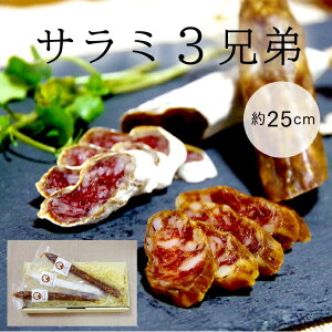 H[@T~3ZiJrT~1{ET~1{E`\1{@e 25cmj