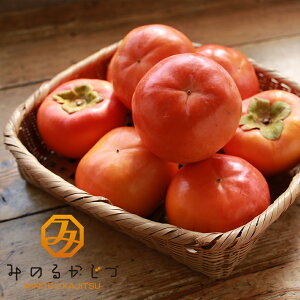 yƒpzxL` MELTCY@5kgi20`24j