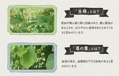 肉料理やスープにぴったりのオリジナルハーブソルト