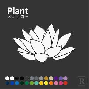 @ nX̉ XebJ[ JbeBO  X[cP[X B SR XeBO[ [ At@[h NE |Cg