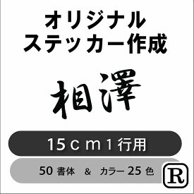 お名前 ステッカー カッティング オリジナル ステッカー 車 ステッカー 社名 文字 看板 表札 営業時間 会社名 電話番号 名前 シール フロントガラス リアガラス かっこいい シンプル 転写シール R-ft015