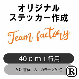 店舗 店名 ステッカー カッティング オリジナル ステッカー 車 ステッカー 社名 文字 看板 表札 営業時間 会社名 電話番号 名前 シール フロントガラス リアガラス かっこいい シンプル 転写シール R-ft040