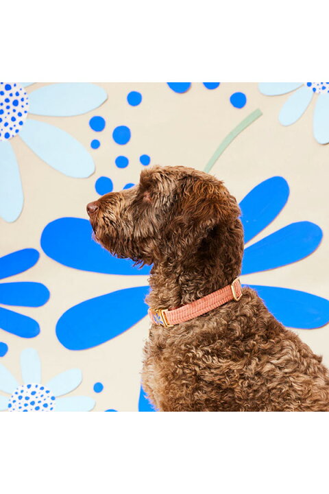 【NICE DIGS ナイスディグス】CORD DOG COLLAR - FORGET ME NOTドッグカラー レザー ハンドメイド ■ネコポス送料無料■ 楽天市場】【NICE DIGS ナイスディグス】CORD DOG COLLAR - BLOSSOM ドッグカラー レザー ハンドメイド □ ネコポス送料無料□ : The TENT 代官山