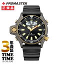 CITIZEN シチズン PROMASTER プロマスター MARINEシリーズ アクアランド　40周年記念限定モデル JP2008-06E【安心の3年保証】