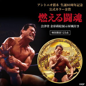 A1@AgjI a80NLO J[ R铬 Óh ʎGWt ʌ123_ AjR{