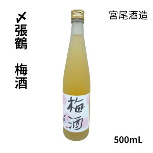 Y ~ 500mL y3980~ȏ㑗z { Mtg ĂȂZNV  n V  l ̂