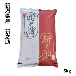 VY VV 5kg   Puh   ߘa7NY 2025NY