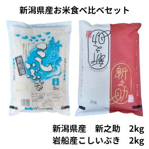 VY ĐHה Zbg v4kg  VV 2kg Ԃ 2kg  Puh   ߘa7NY 2025NY