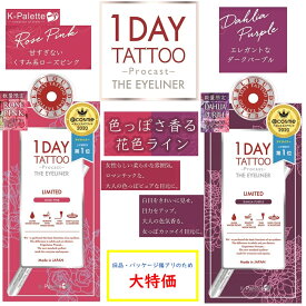 B品 プロキャスト ザ・アイライナー K-パレット 1DAY TATTOO 限定色 ローズピンク ダリアパープル クリックポスト ポスト投函 Kパレット