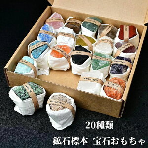 20Zbg zW{ z W{ VR u ΂ z΃Lbg nȊwLbg nȊw RNVZbg ΕW{   v[g VRz AWXg q Mtg 