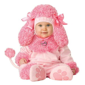 ݌ɏxr[   hbO RX`[ t Jo[I[  Ck  Ȃ肫 V Ԃ LbY xr[ p[X q j̎q ̎q tH~ 킢 xr