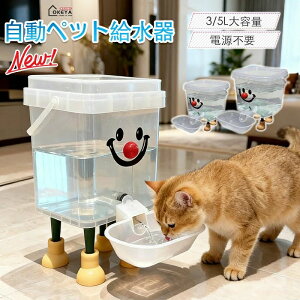 ���i�摜