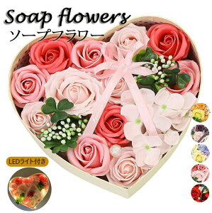 \[vt[ n[g{bNX LEDCgt V{ Mtg  a v[g  FB  ޏ  ̓ v[g wj j t[Mtg  ʉ  