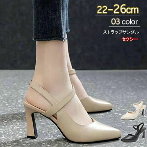 T_ pvX fB[X `L[q[ |CebhgD 7.8cm q[  傫TCY Cg`[gq[T_ ItBX 킢 ₷ Xgbv 