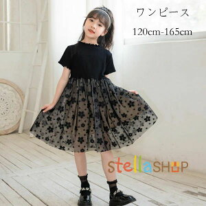 q ̎q s[X ubN 킢 s[X `[ ԕ LbY  s[X tH[} \  s[X 120 130 140 150 160 165 G Beʐ^ p[eB[ Cxg 