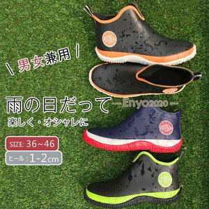 Cu[c jp V[g Vv CV[Y o[V[Y C JC h ~J JWA ɂ   ʋ ʊw 傫TCY