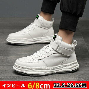 Y nCJbgXj[J[ NbV ʋC y ~ L  gAbv 6/8cm upw Xj[J[ {v JWAV[Y ʊw Y Xj[J[  JWA 