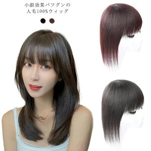 EBbO l100%  fB[X tECbO OXg[g V[gXg[g {u ~fBA ×pEBbO R    B p ×pXq  l