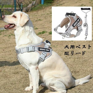 ̃[hxXgX^C^ё^S[fgo[uh[qn[lX̎U[v`F[ yz