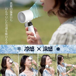 強力送風 持ち運び便利 卓上/手持ち/首掛け/冷却ファン4WAY ハンディファン 冷却プレート式】熱中症対策 【2024新型
