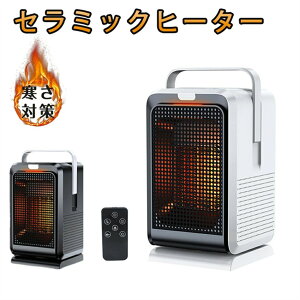 2iK   }CiXCI  ItBX  q[^[ 1000W ^ Z~bNq[^[