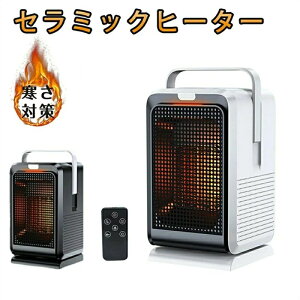 2iK   }CiXCI  ItBX  q[^[ 1000W ^ Z~bNq[^[