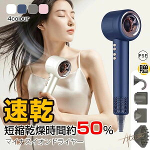 pIȌhV̓v[g閧^ hC[  啗 2024 wAhC[ M 4i 3i