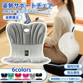 腰痛 椅子】骨盤サポートチェア 骨盤から腰をサポート 高反発メモリー綿 腰当て 姿勢矯正 クッション 軽量 持ち運び簡単