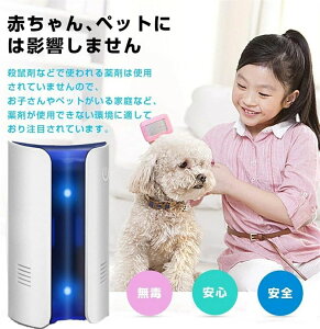 Q쏜 lY~쏜 Q쏜@ g 쏜 dg RZg @\ ȃGl lY~