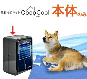 }bgX ⊴ N[}bg Lv AEghA Lp ⎮  dC dC p}bg ╗ ybg