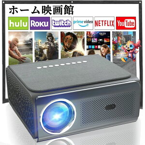 Netflix/YouTubeb  650ANSIPx tH[JX 4KΉ ^ X}zƌq ƒp