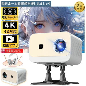 \ X}zƌq 掿 ƒp1080P Netflix 4KΉ dtH[JX ^