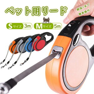 ybgp[h  Lk  L [h p[h ^ ^ ^ Lk[h 莮 U US΍ ybg S p Lp  ybgpi  킢 