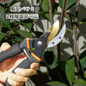 y2Ƃ!zoT~ ΂ }؃oT~ A؂΂ K[fjO   ~  G K[fpi 2iK߉\ ₷ Kтɂ  ؒf  | 