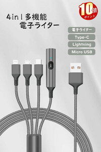 yԌP10{zdqC^[ C^[ USBP[uC^[ dr  sp dM ԗpC^[ ^ h 4in1 C^[[dQ[v