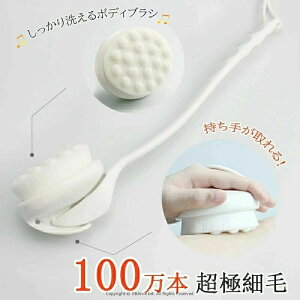 {fBuV w ɍז Onh O uV VN wuV {fB[uV _炩 _炩 w jLr C Onh  Xp XLPA C  