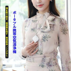 送料無料 静音USB充電式 赤ちゃん 子供 妊婦 大人 ウイルス除去 PM2.5 花粉 マイナスイオン発生器 小型 イオン発生器 吊り下げ 携帯 ポータブル 小型空気清浄機 車 空気清浄機 首かけ 携帯型 首