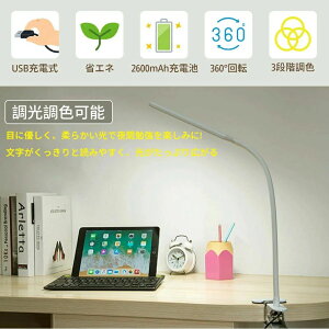 ] 360x ȃGl F  [d   邢 Ǐ ׋ q ڂɗD LEDCg