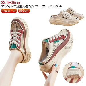 Xb| ʋ ؍ Xbp 4cmq[ fB[X Xj[J[  ʋC Xj[J[T_