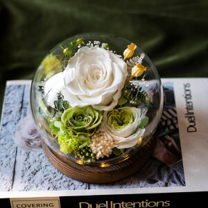 Mtg Ȃ NX}X LO Mtgp  o KXh[izCgO[jv[g