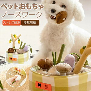 XgX ^s Ƃ̔jh~΍ B pi  y ނpY