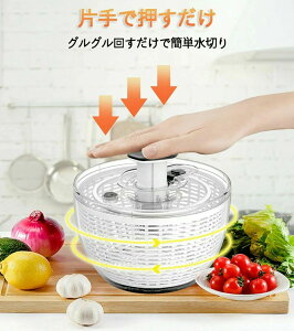 ې 蓮 6Le U {E ؂ vbV ؃Xsi[ ؒE@ ی^  ؐ؂