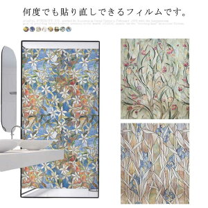 ptB ډBV[g KXtB ډBV[g œ\ \蒼\ tB