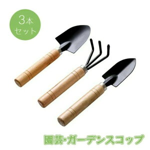  ڐA͔| ZVx ~jVx c[ K[fjO ~j 3_Zbg|pi [L Vx