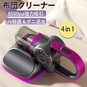 Type-C[d ᑛ ԕ ԕ΍ _j΍ _jN[i[ z  zO   7500pa͋z