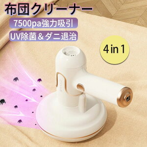 Type-C[d ᑛ ԕ ԕ΍ _j΍ _jN[i[ z  zO   7500pa͋z