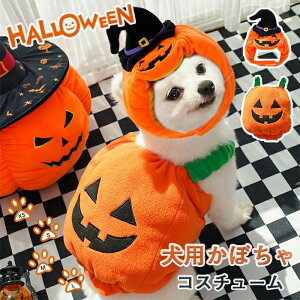   ^ ϐg ߑ L pvL Cxg RXvߑ ϑ EȒP ͋C[J[